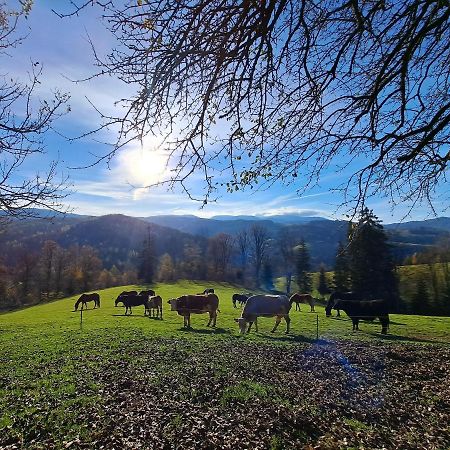 Kamp Erlebnisbauernhof Gutschi Ranch 아파트 외부 사진