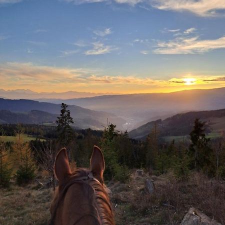 Kamp Erlebnisbauernhof Gutschi Ranch 아파트 외부 사진