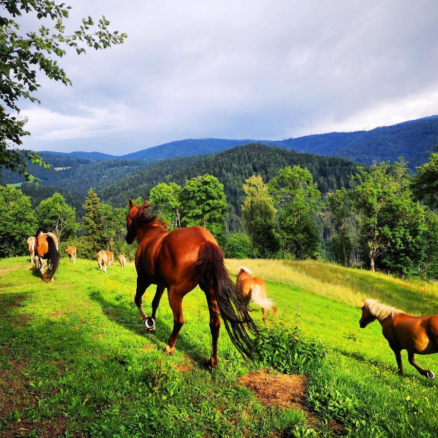 Kamp Erlebnisbauernhof Gutschi Ranch 아파트 외부 사진