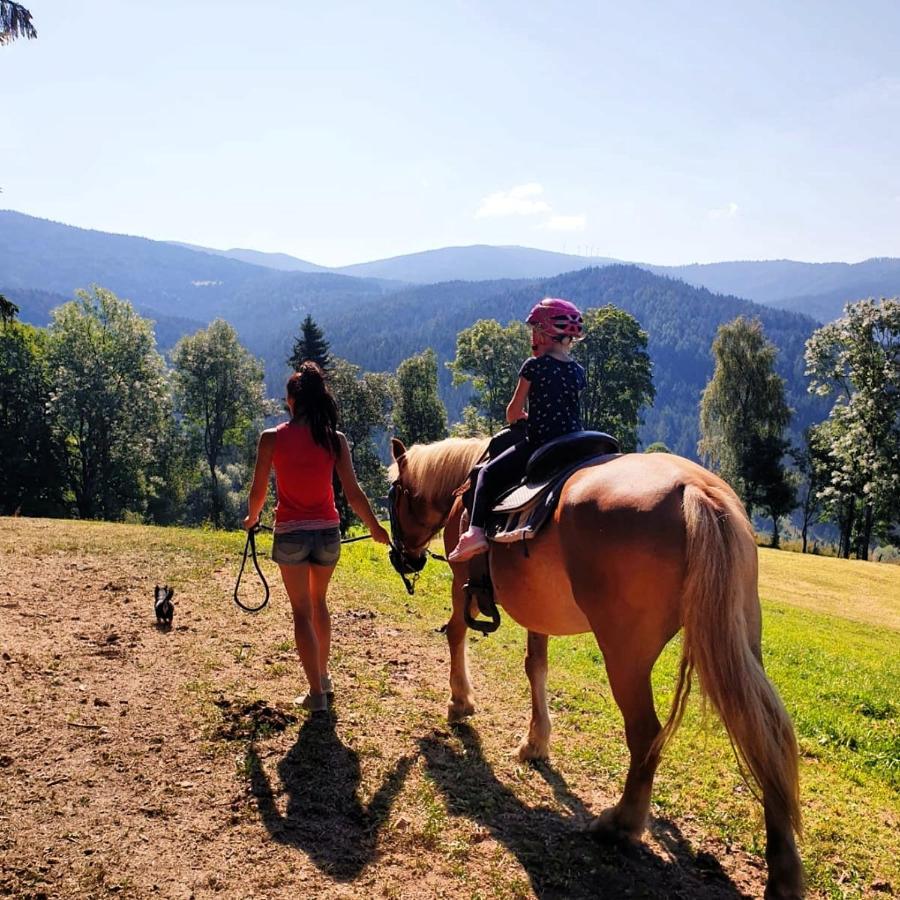 Kamp Erlebnisbauernhof Gutschi Ranch 아파트 외부 사진