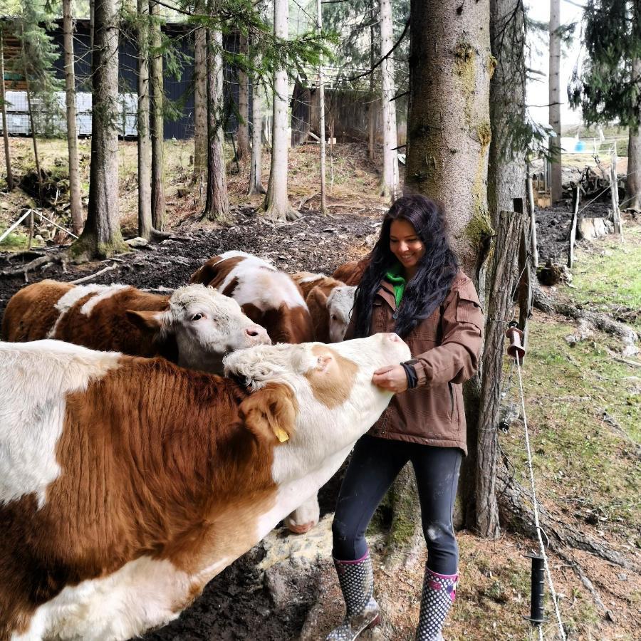 Kamp Erlebnisbauernhof Gutschi Ranch 아파트 외부 사진