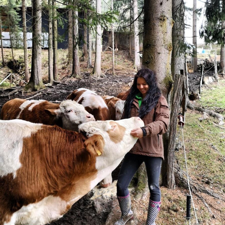 Erlebnisbauernhof Gutschi Ranch Kamp 외부 사진