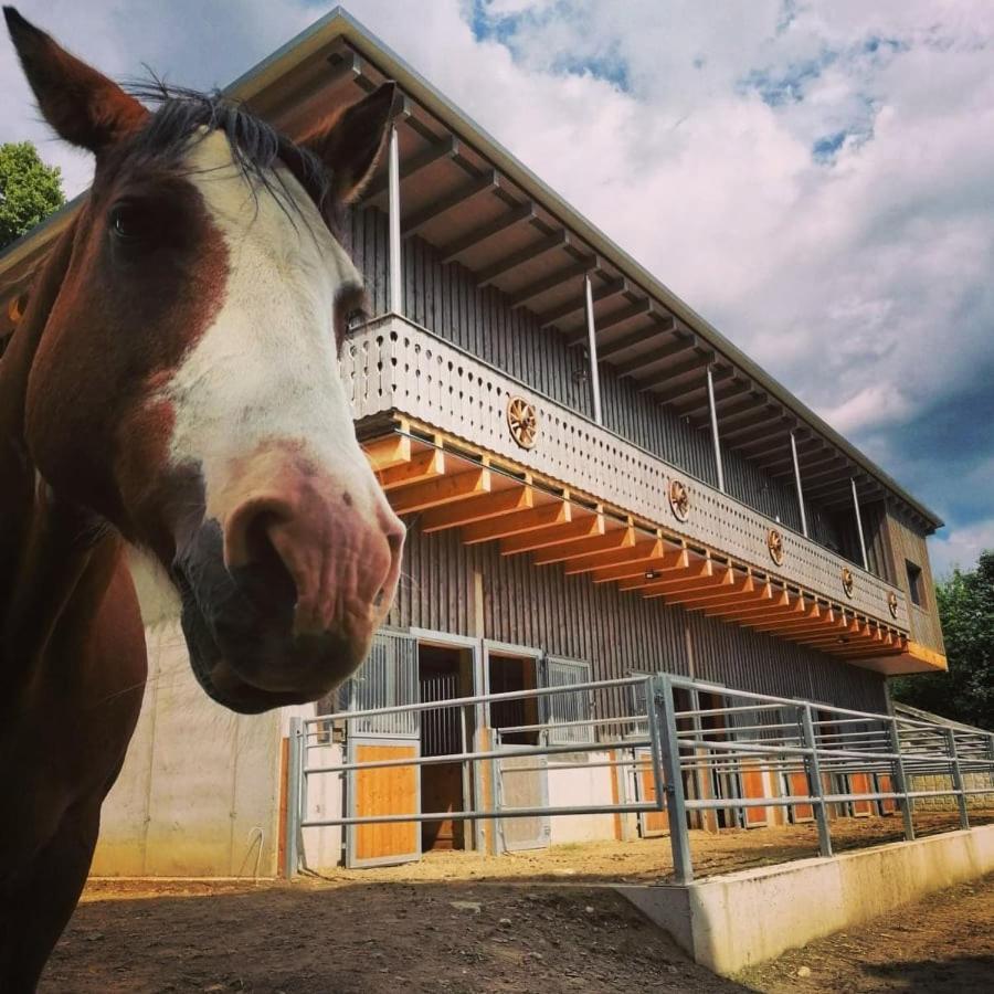 Kamp Erlebnisbauernhof Gutschi Ranch 아파트 외부 사진