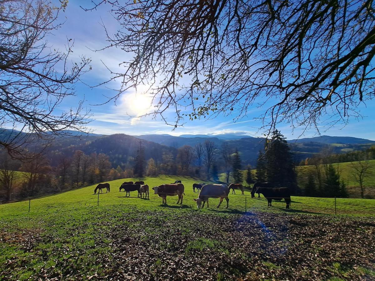 Kamp Erlebnisbauernhof Gutschi Ranch 아파트 외부 사진