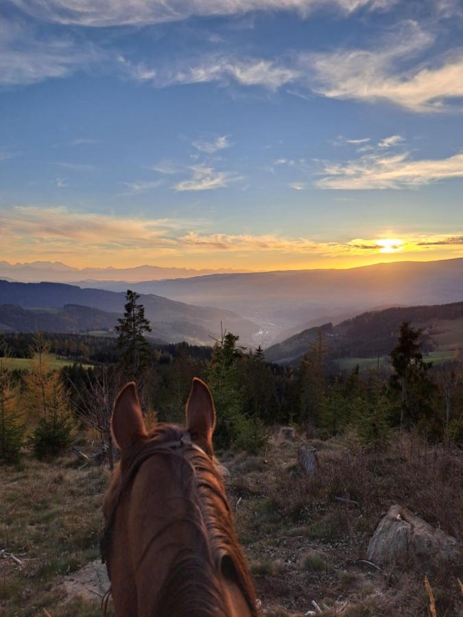 Kamp Erlebnisbauernhof Gutschi Ranch 아파트 외부 사진