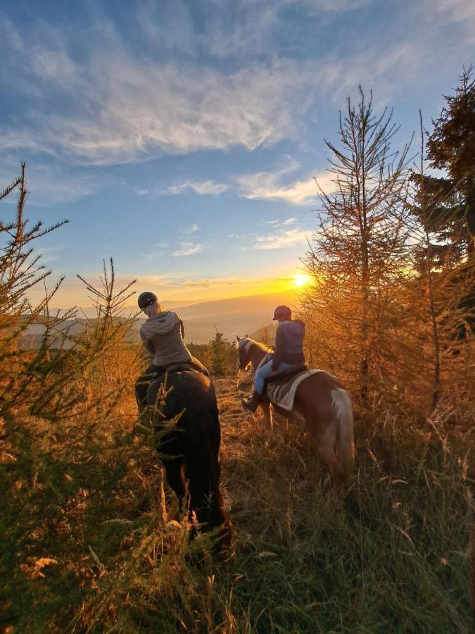 Kamp Erlebnisbauernhof Gutschi Ranch 아파트 외부 사진