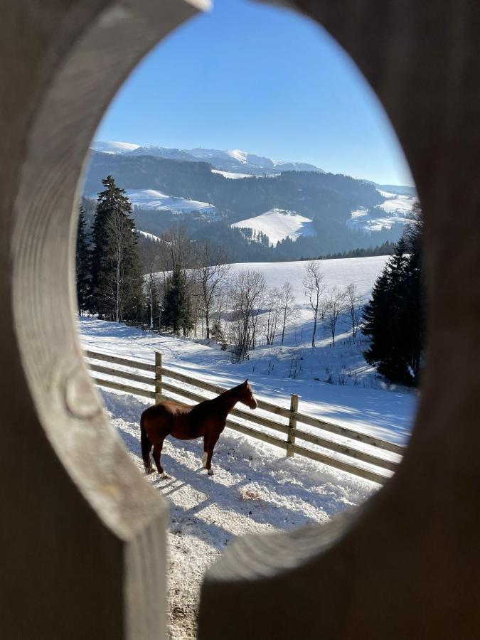 Kamp Erlebnisbauernhof Gutschi Ranch 아파트 외부 사진