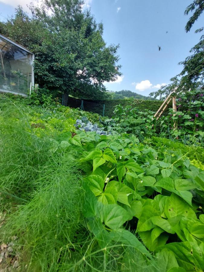 Erlebnisbauernhof Gutschi Ranch Kamp 외부 사진