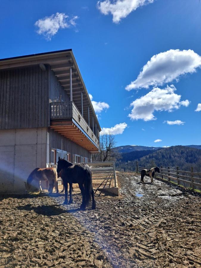 Kamp Erlebnisbauernhof Gutschi Ranch 아파트 외부 사진