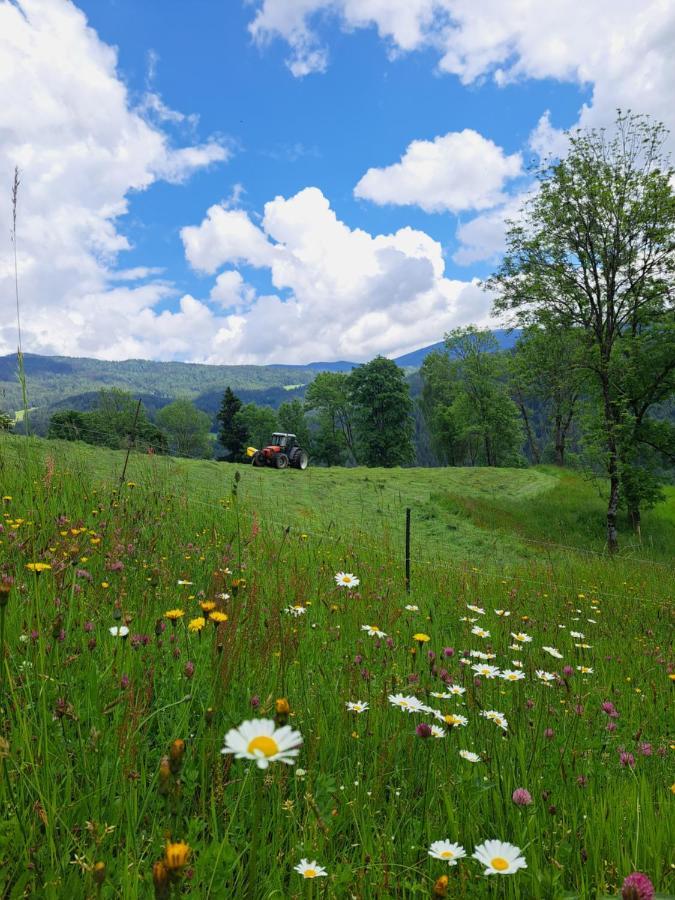 Kamp Erlebnisbauernhof Gutschi Ranch 아파트 외부 사진