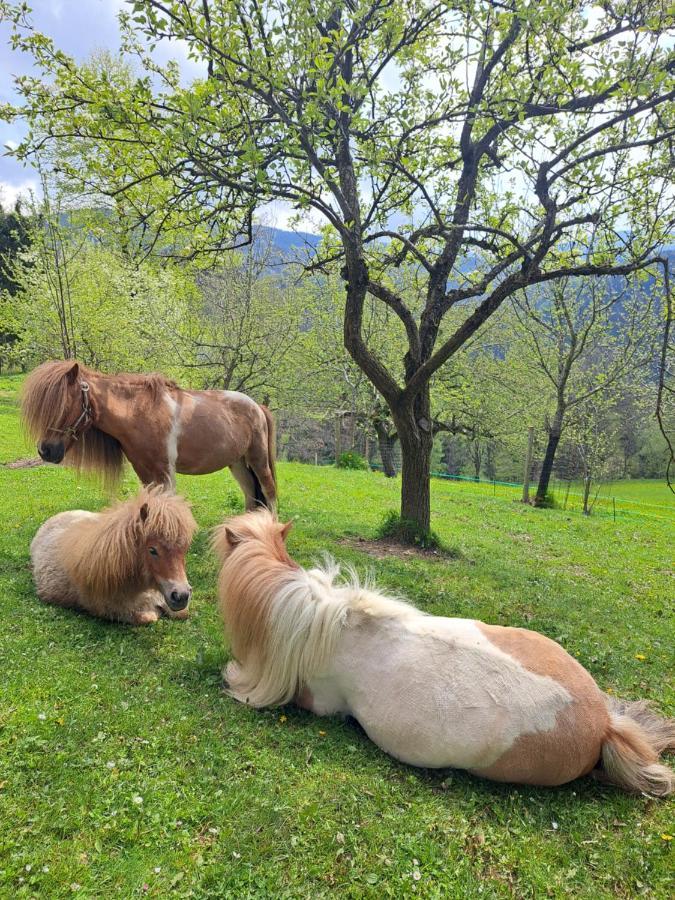 Kamp Erlebnisbauernhof Gutschi Ranch 아파트 외부 사진