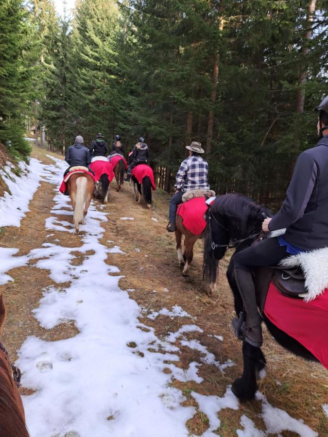 Kamp Erlebnisbauernhof Gutschi Ranch 아파트 외부 사진