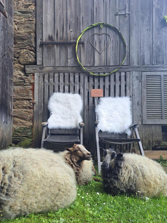 Erlebnisbauernhof Gutschi Ranch Kamp 외부 사진