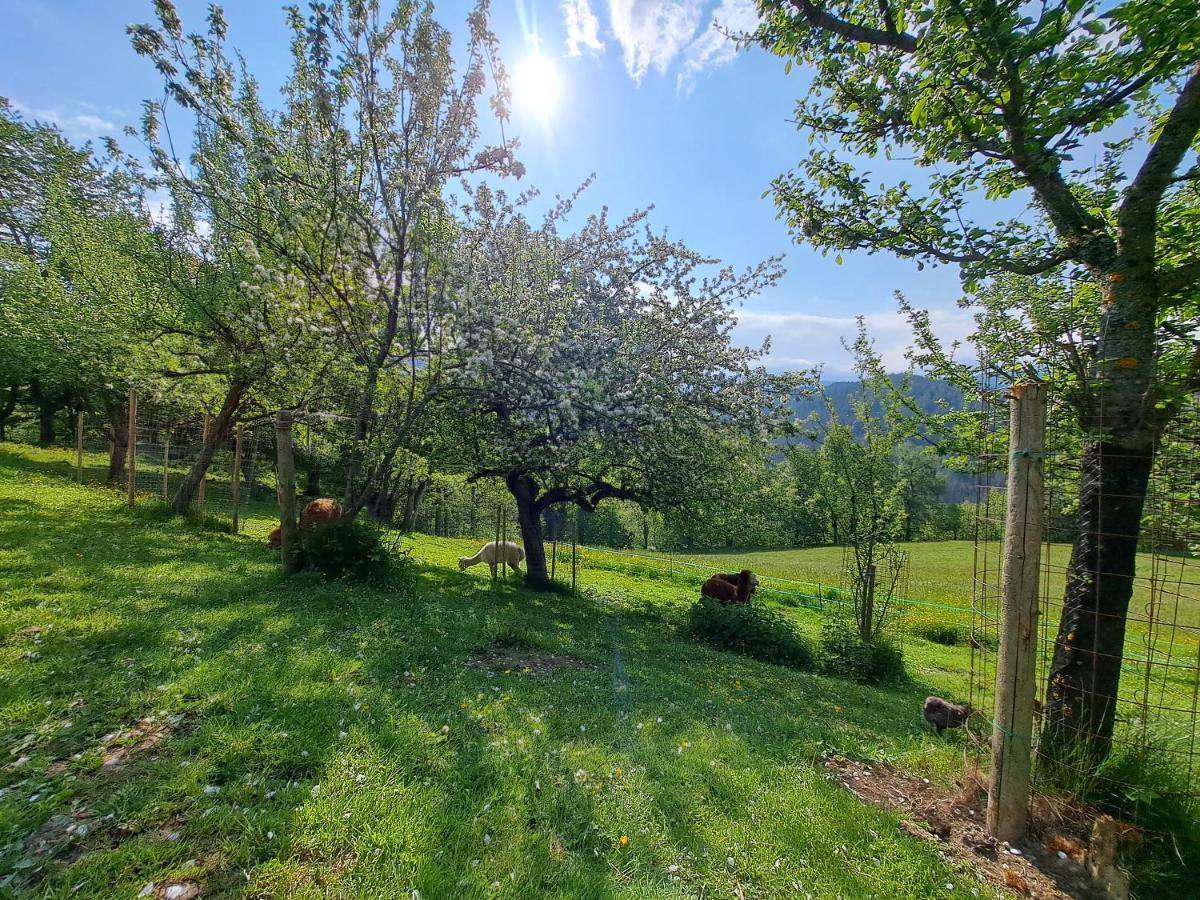 Erlebnisbauernhof Gutschi Ranch Kamp 외부 사진