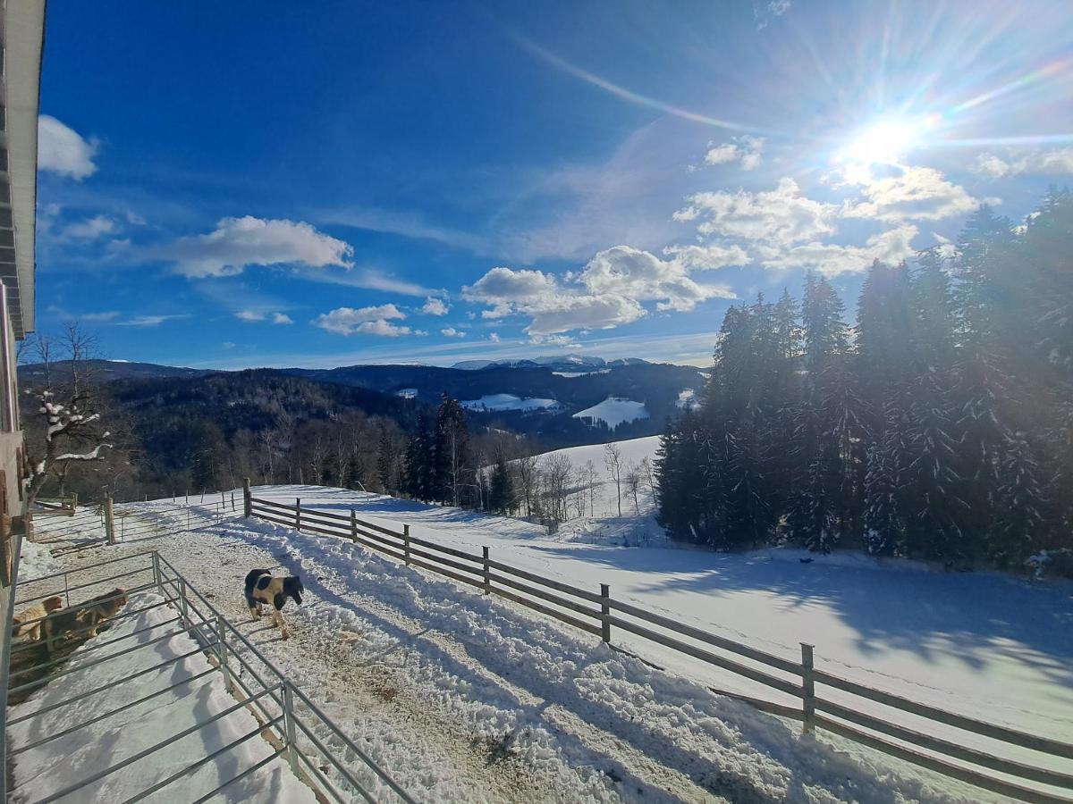 Kamp Erlebnisbauernhof Gutschi Ranch 아파트 외부 사진